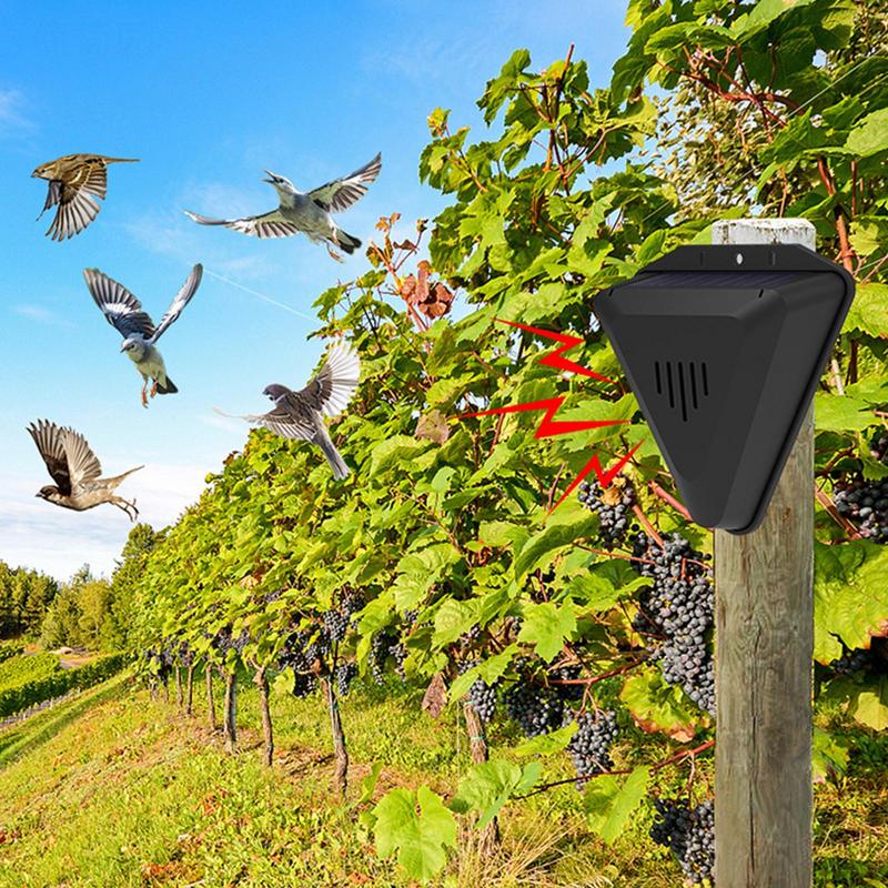 Waterproof Solar bird repeller - مراجعة Fish Alarm وسعره